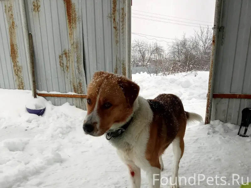 Рязань, Рязанская область. Ски...