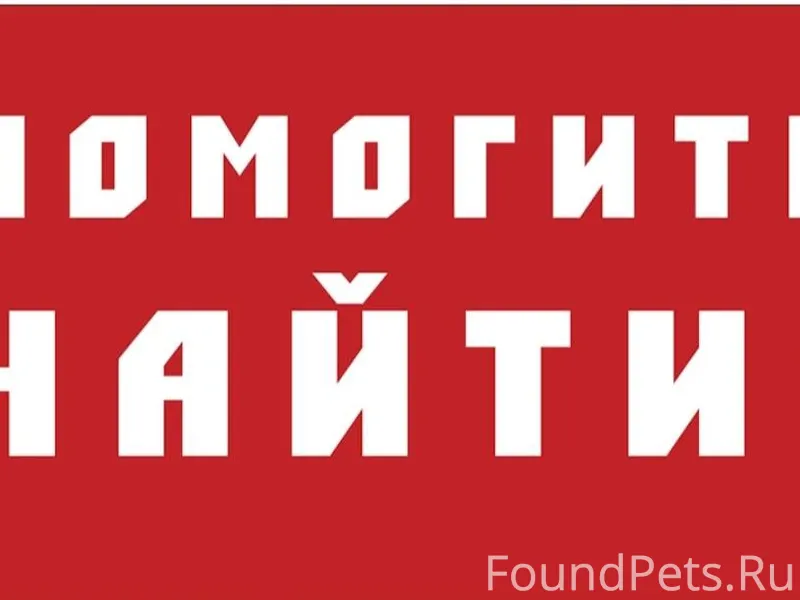 🆘🆘🆘СРОЧНО!!!! ПОСТ О ПОМОЩИ!!!...