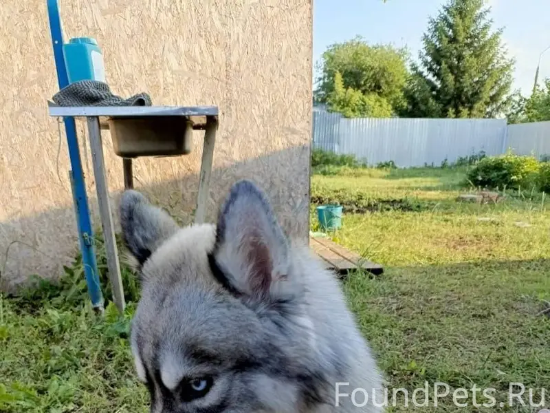 Доброго времени суток в понеде...