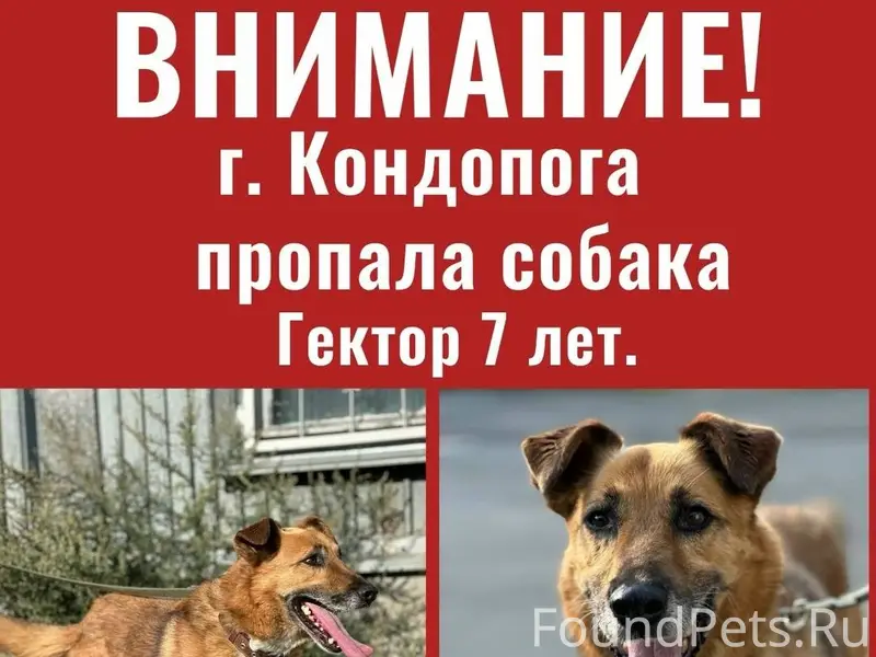 Пожалуйста, сделайте репост! ‼...