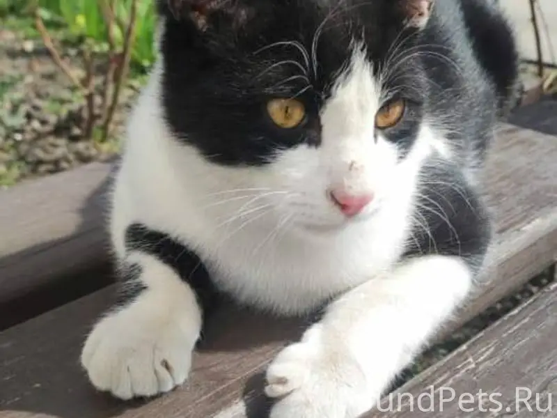 Больше месяца назад с места об...