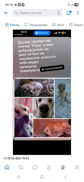 ❗️❗️❗️ДРУЗЬЯ,ПРОШУ МАКСИМАЛЬНЫ...