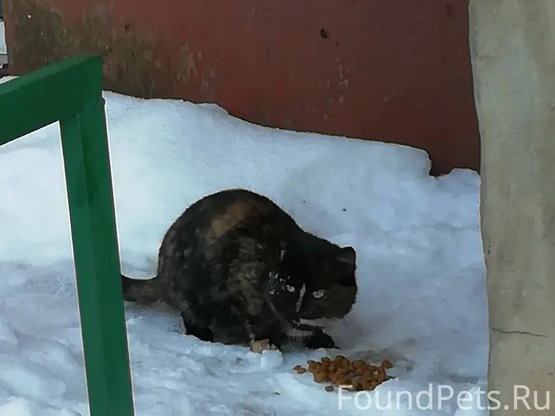 Иваново, гарнизон, п /о 14. Не...