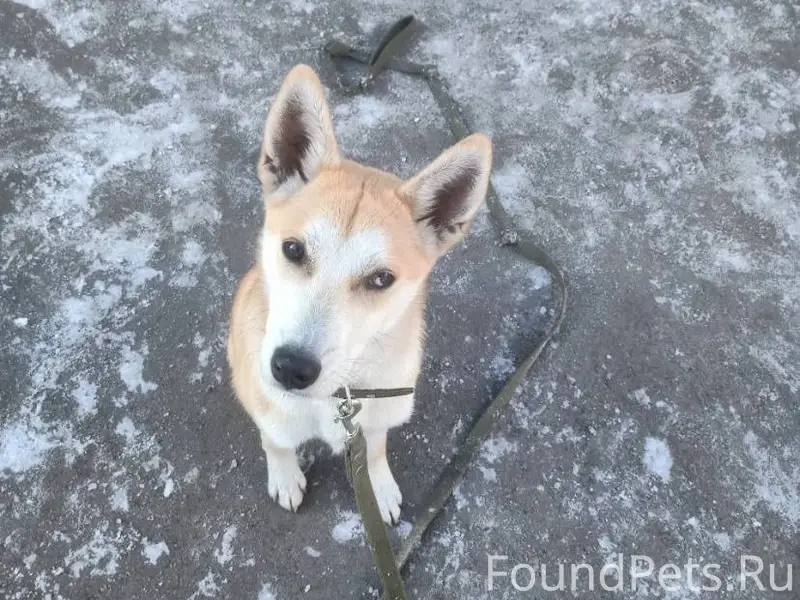 Здравствуйте хотела бы попроси...