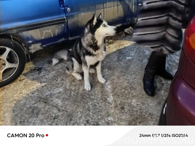 Город Щёкино Тульская область ...