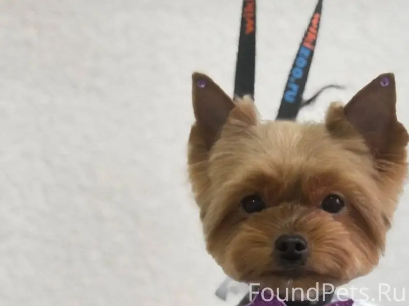 Здравствуйте сегодня в сельхоз...