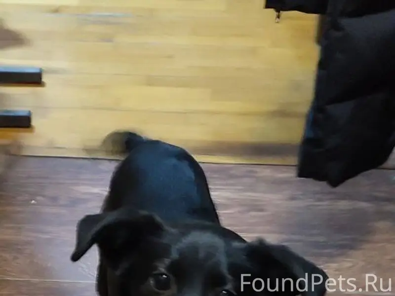 #Черныйсписок #Ржев Ржев. ❗Най...