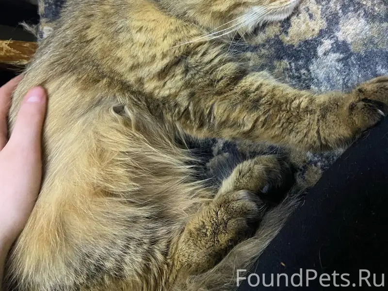 В подвале дома 47 по улице...