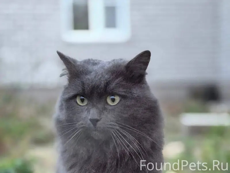 05.02.2026 09:33 Пропал...