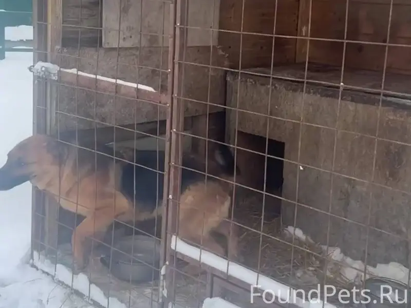 Помогите пожалуйста 🆘, информа...