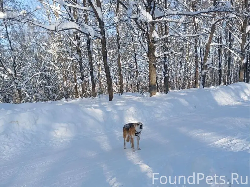 SOS!!!!‼‼‼ Со вчерашнего дня в...