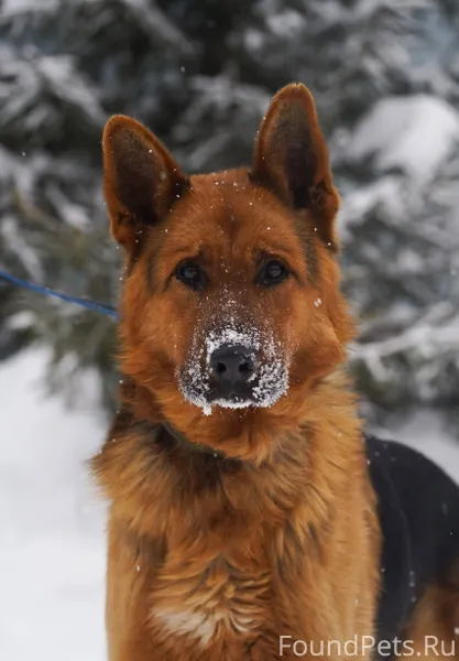 ‼️ ВНИМАНИЕ ‼️ БИЛИМБАЙ ‼️ 📢.....