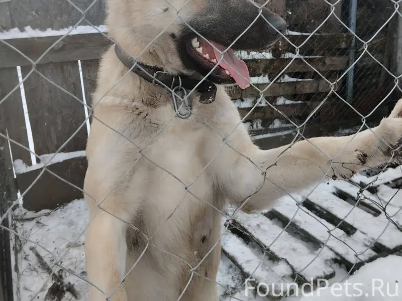 Срочно 🆘🆘🆘 Репост пожалуйста. ...