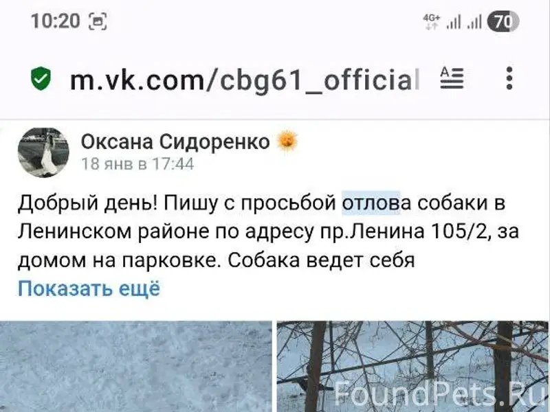 ПОМОГИТЕ НАЙТИ! Собака жила в ...
