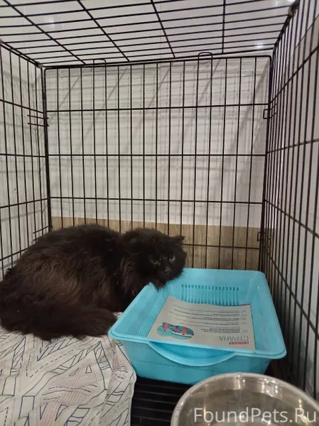 ОЧЕНЬ СРОЧНО!!! ОЧЕНЬ НЕПРОСТО...