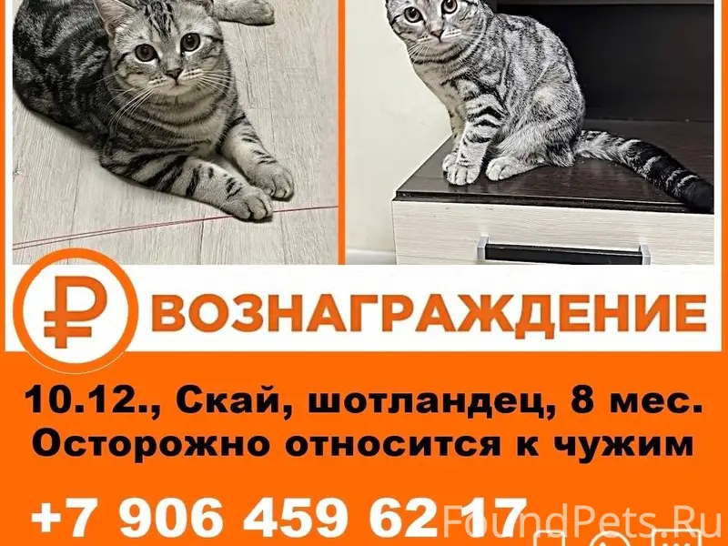 📍Жилгородок, р-н Первой школы....