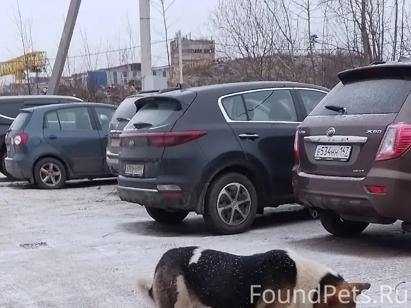 Срочно! Прошу репост! Во время...