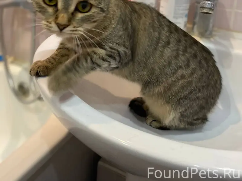 5 февраля в 18:30 примерно...