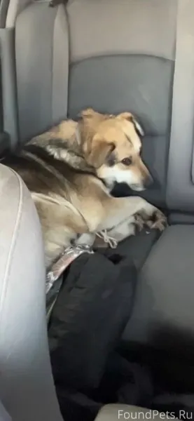 Срочно 🚨 Сегодня, 6 февраля Пр...