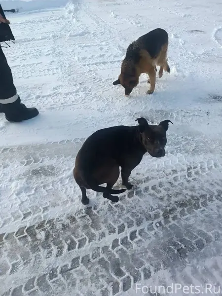 Михайловск - Верхнерусское На ...