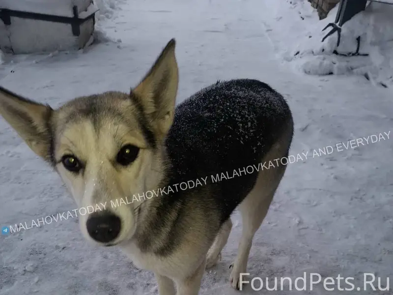 #жителипишут 🆘🆘 Помогите верну...