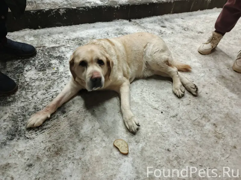 05.02 в 20-30 найден...