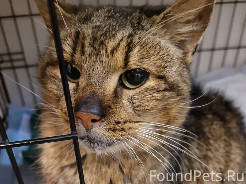 Доброго времени суток. Может к...