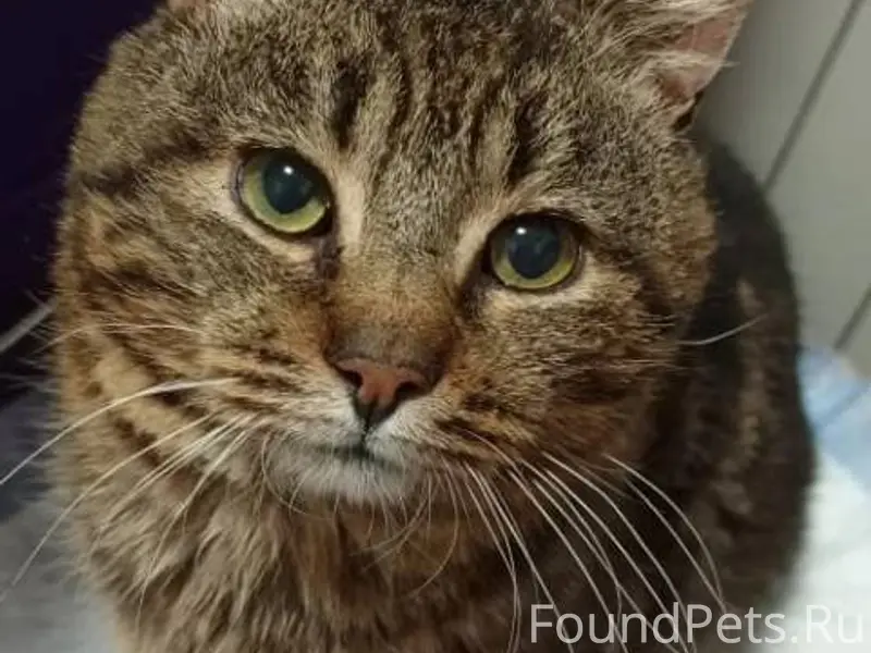 Помогаю информационно ‼️ ТИМАШ...