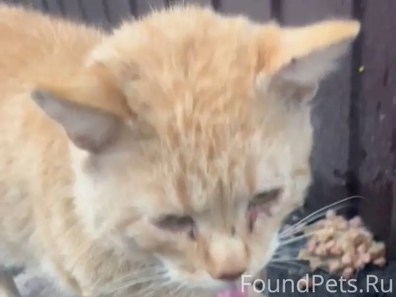 ‼️‼️‼️может кто-то поедет в Че...