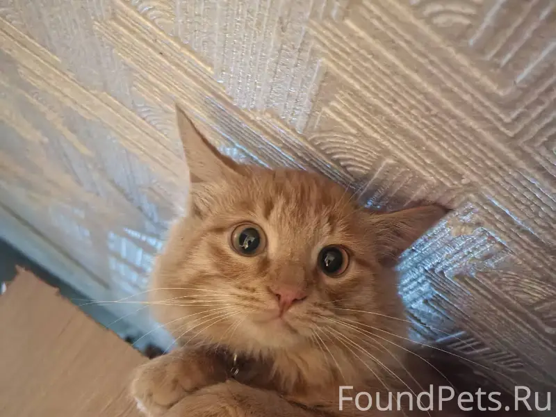 На улице Державина 14 2-й...