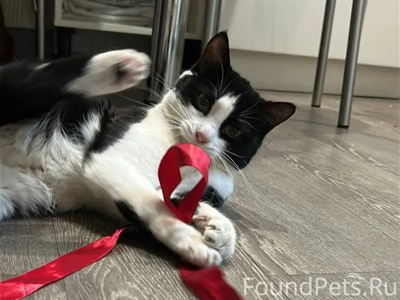 🆘Очень, очень срочно!🚨 Найдена...