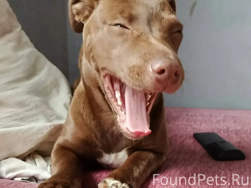 Здравствуйте утром 5 числа дан...