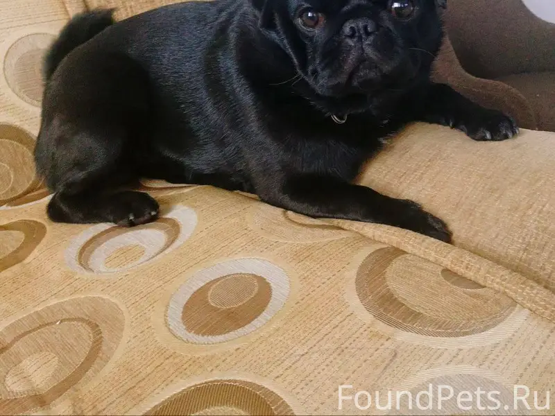 🆘 Помогите найти 🆘 📍Пропала со...