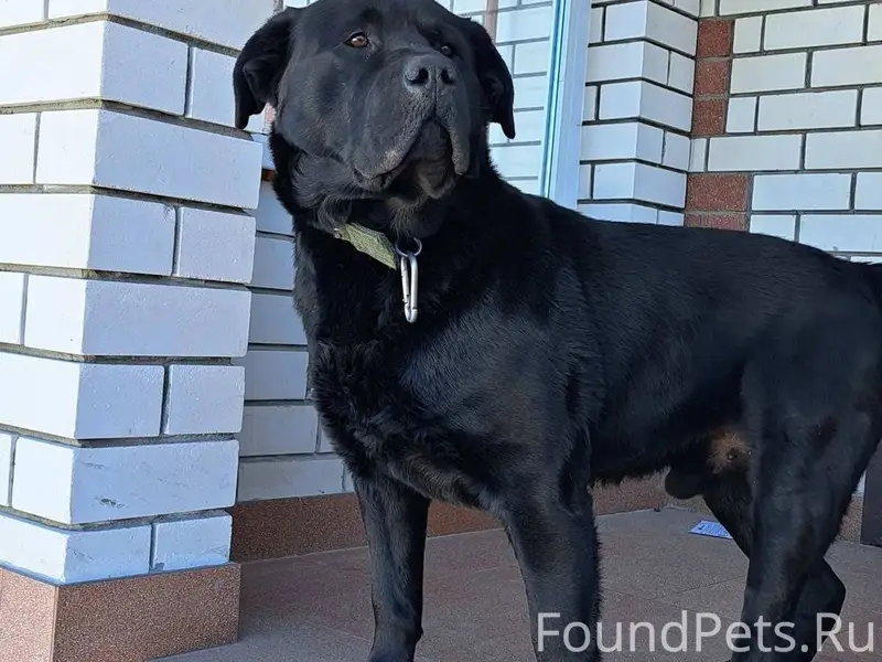 Доброе утро )) вот и не верь.....