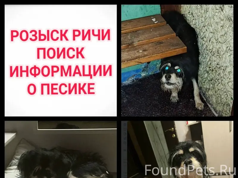 Мурманск. До сих пор не найден...