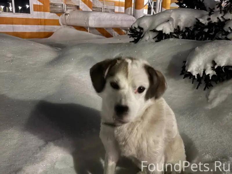 У поселка Три медведя, Елабуга...