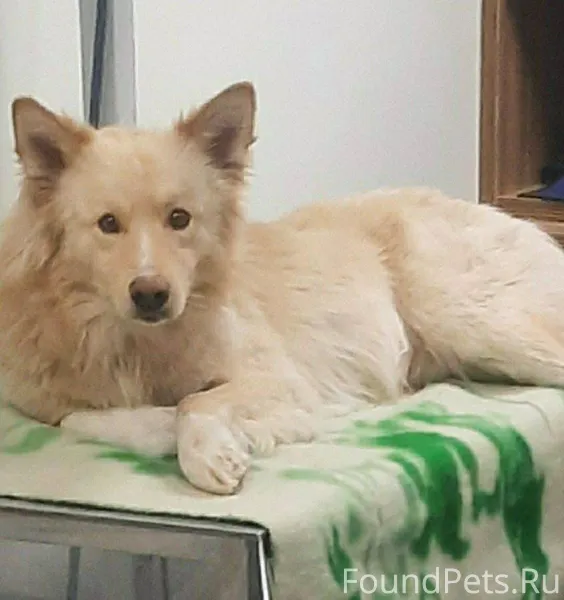 🆘 ДО БЕДЫ ОДИН ШАГ! СЧЕТ...