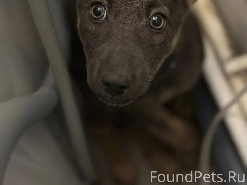 🆘️🆘️🆘️Волгоград, Дзержинский р...