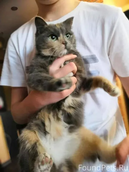 Как же неумолимо быстро летит ...