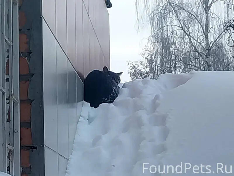 #найдено Голутвин.Сегодня 6 фе...