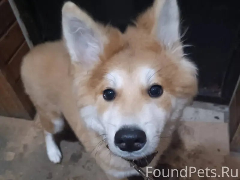 Около 8 утра 6 февраля в...