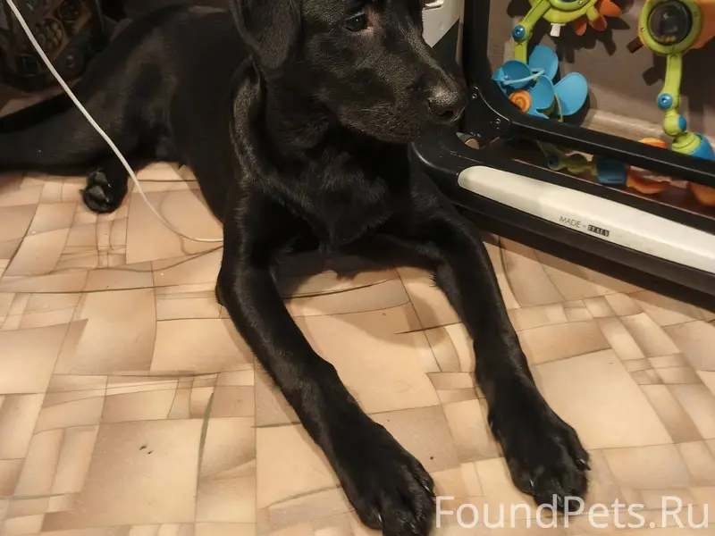 Очень надеемся на репосты ,вдр...