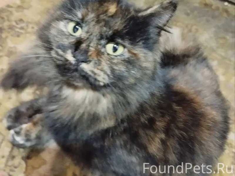 Добрый день, пишу еще раз по.....