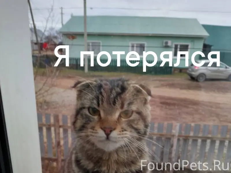 ❗Помогаю информационно❗ Админ ...