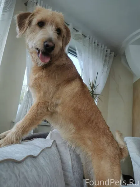 Помогаем информационно. Все во...