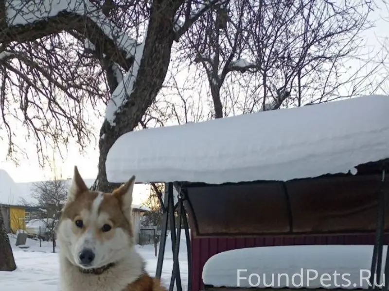 Сегодня утром на старом Ярцево...