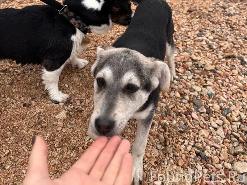 В парке Победы в Севастополе с...