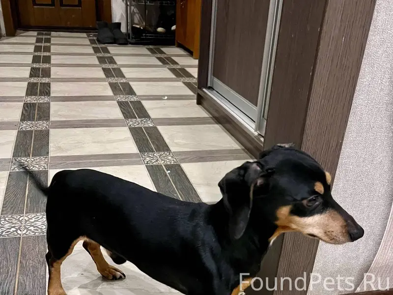 Около 19:20 у магазина «Пятёро...