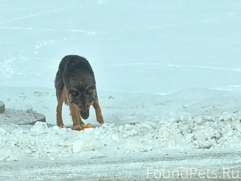По дороге на Аргамач около зап...