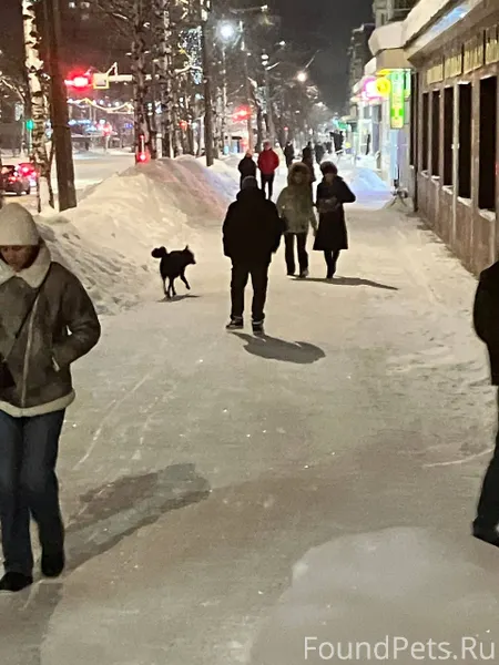 Только что на улице коммунисти...